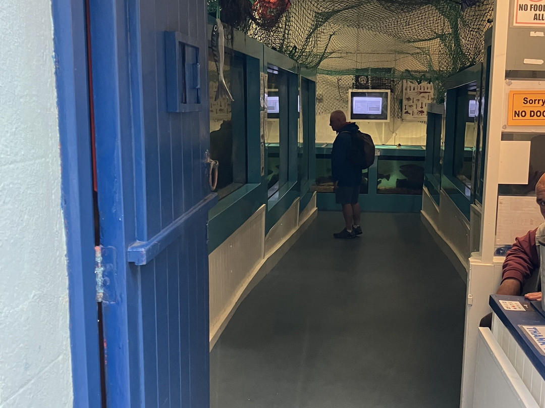 Mevagissey Aquarium-梅瓦吉西必去景点