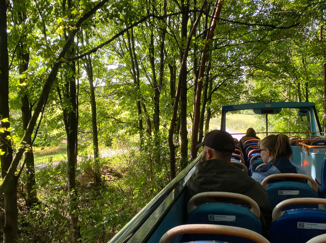 Peak Sightseer Open Top Bus Tour景点图片