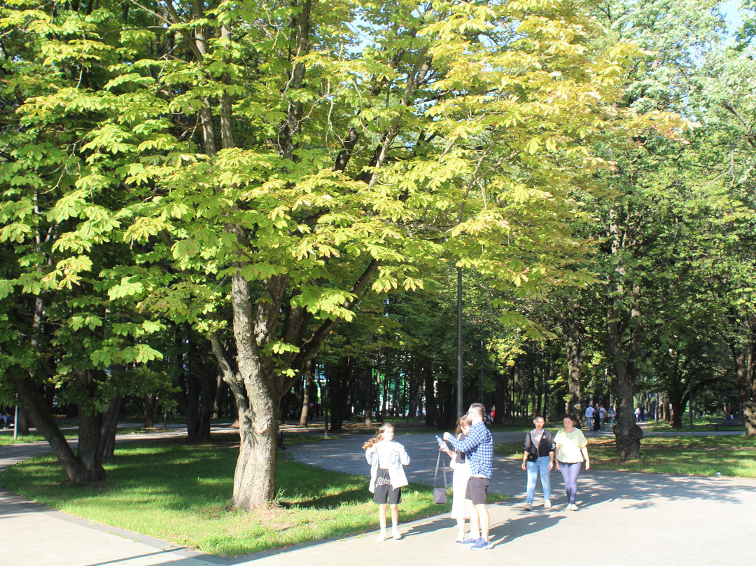 Park Druzhby景点图片