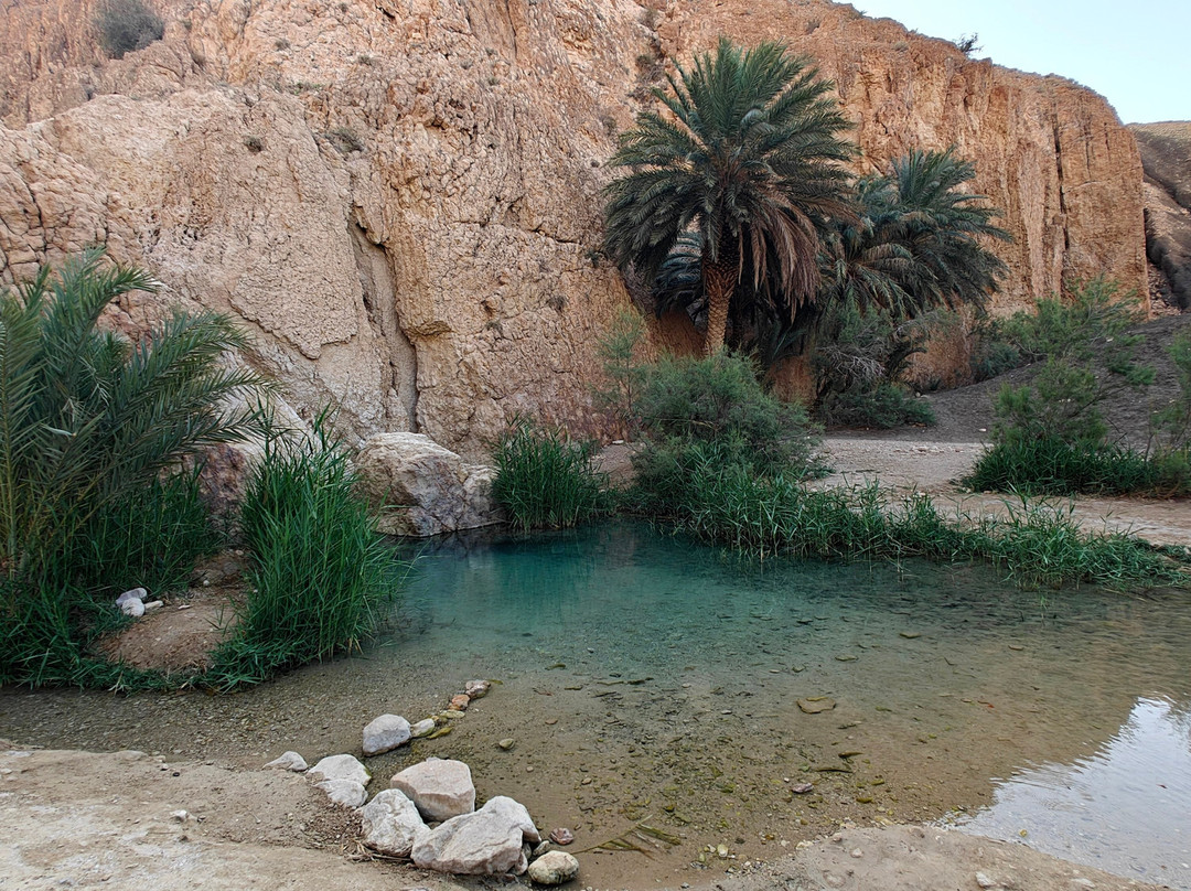Tamerza Canyon-吐泽尔必去景点