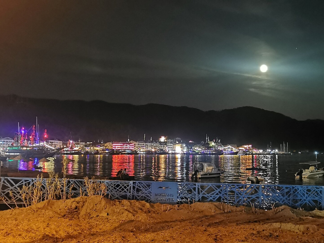 Marmaris Marina景点图片