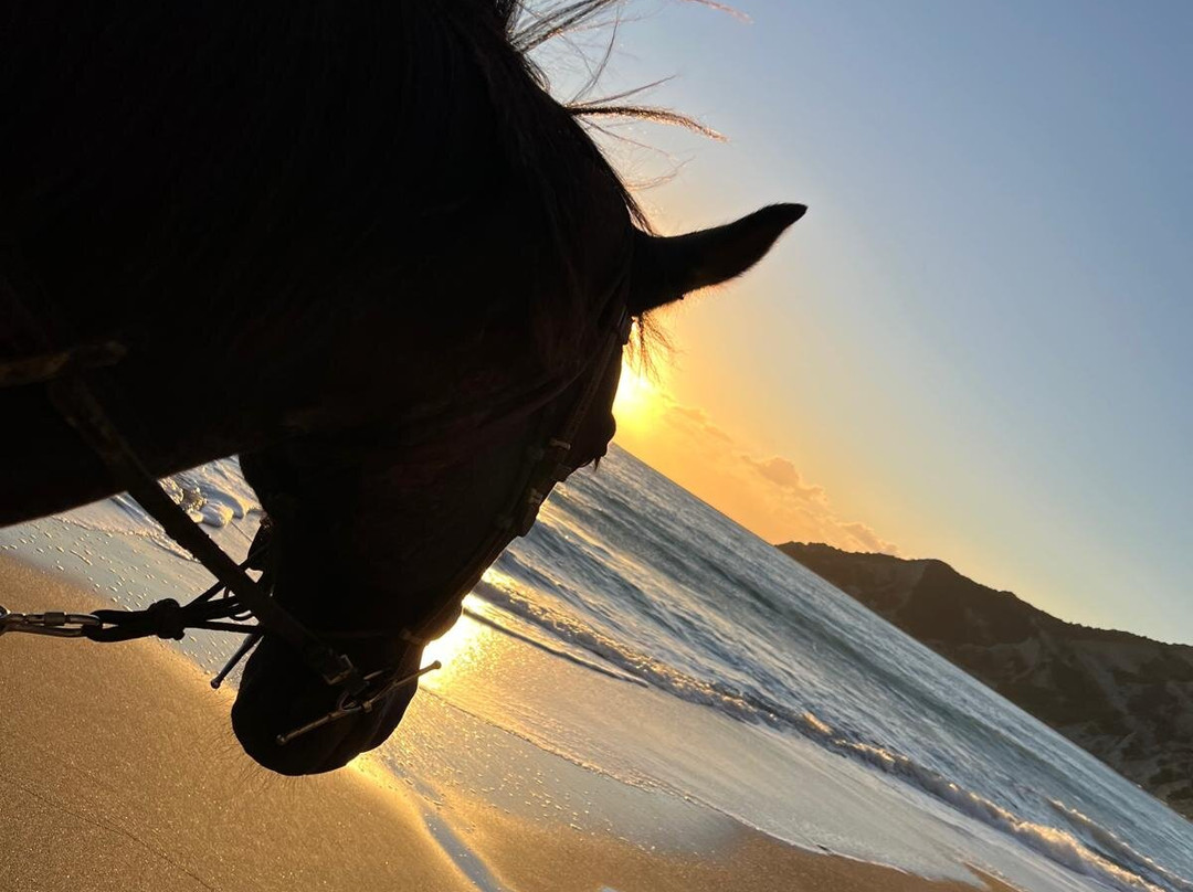 Horseland Kavos-Kavos必去景点