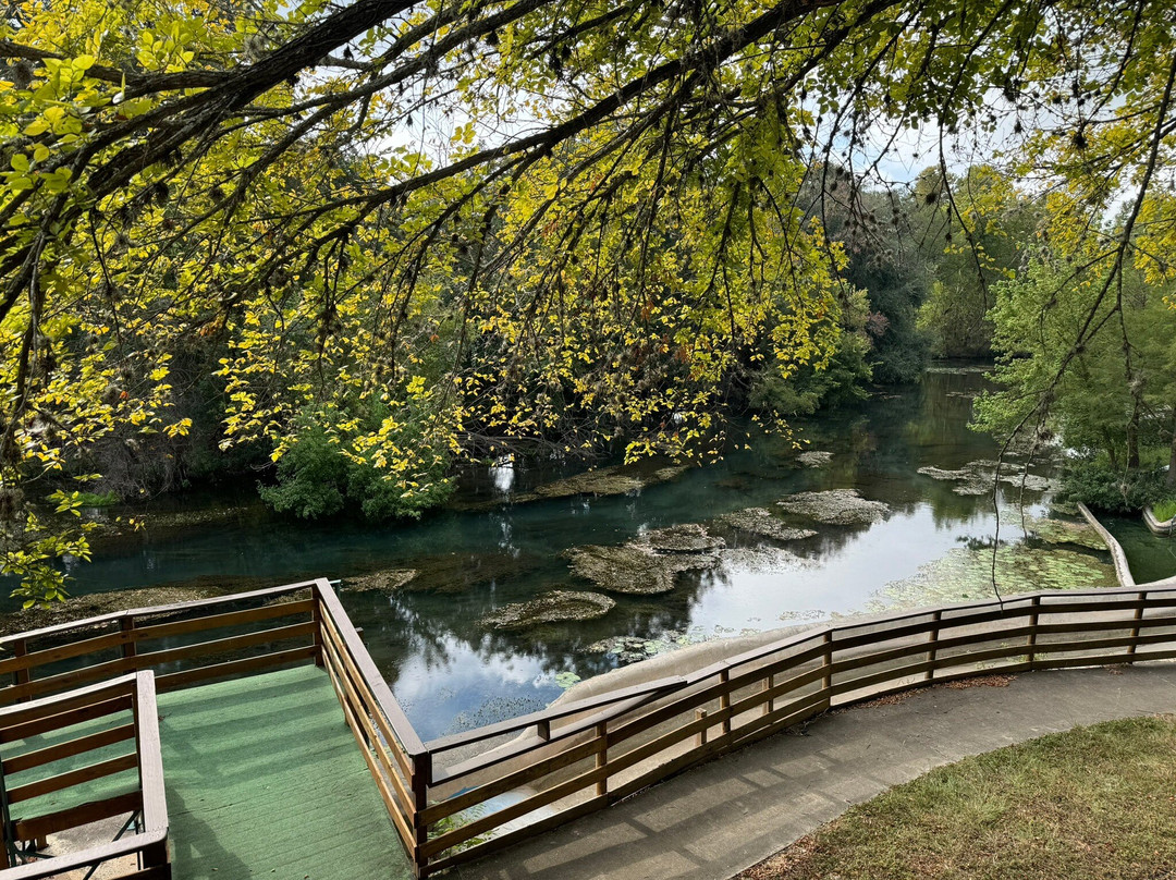 Hinman Island Park-新布朗费尔斯必去景点