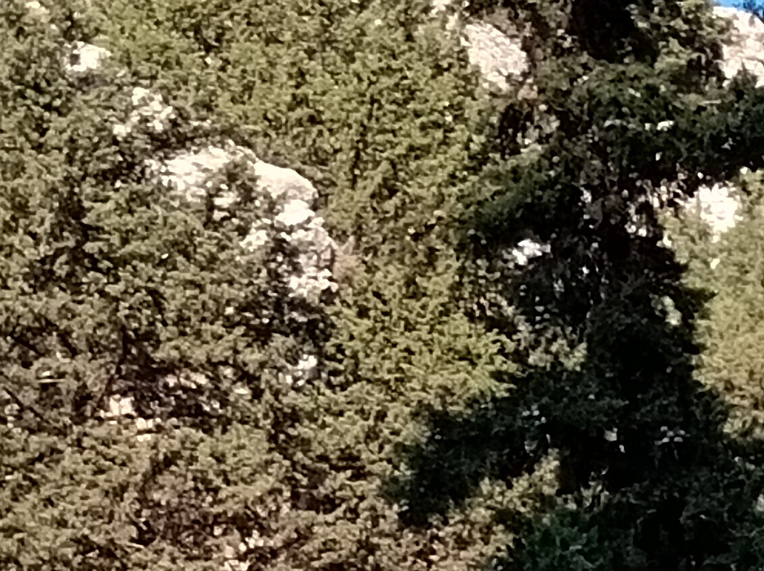 Paleo Pili景点图片