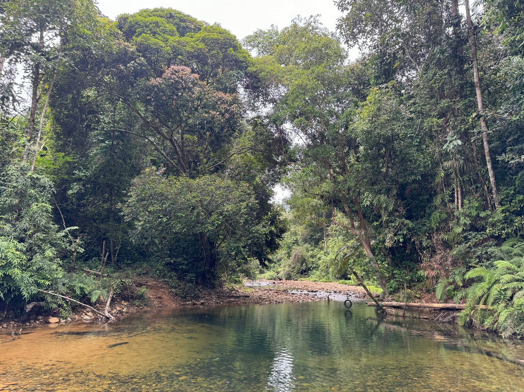 Taman Negeri Rompin Pahang景点图片