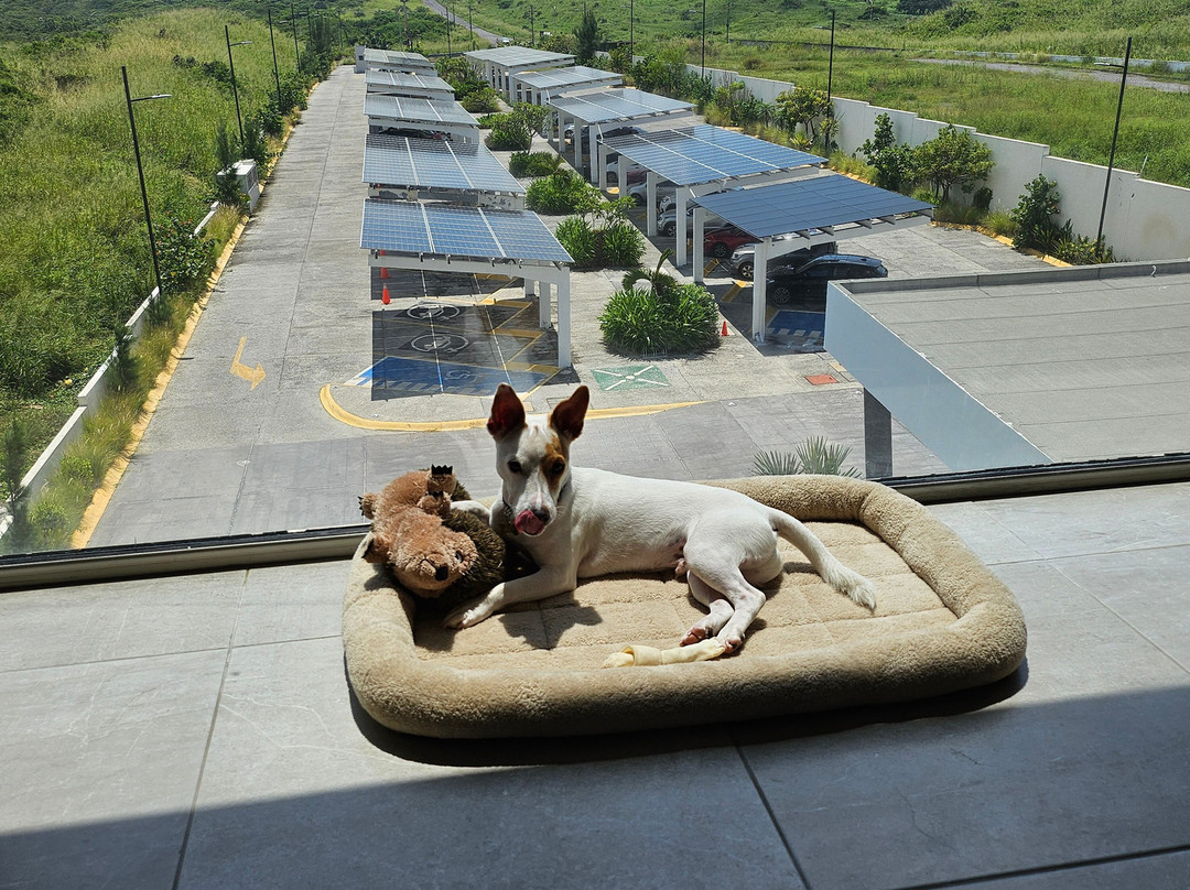 Best Western Plus Riviera Veracruz主图