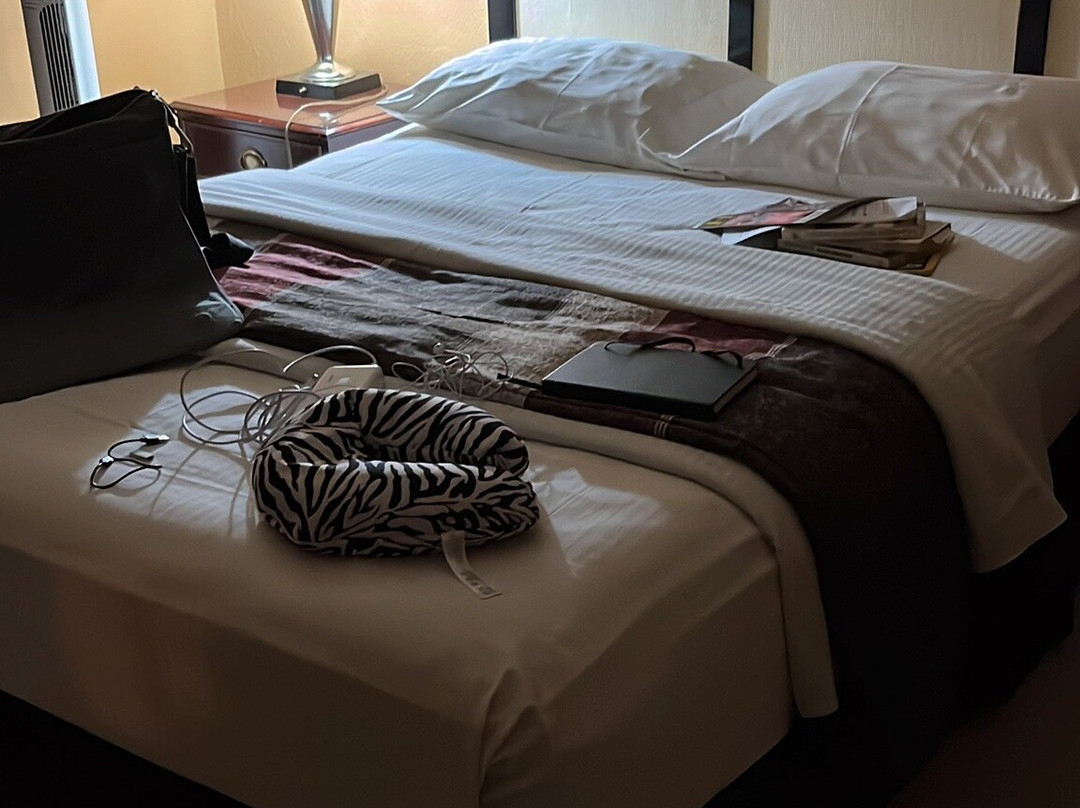 Albertine Hotel主图