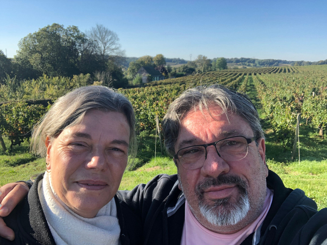 Domaine De Rocheville景点图片