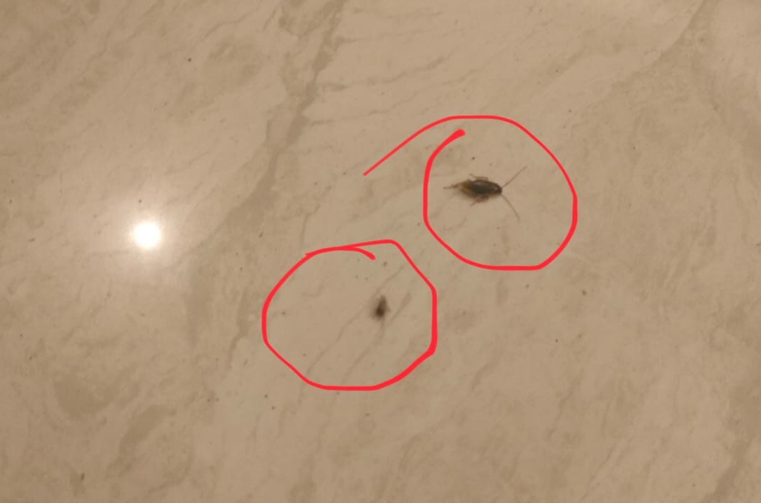 Longuinhos Beach Resort主图