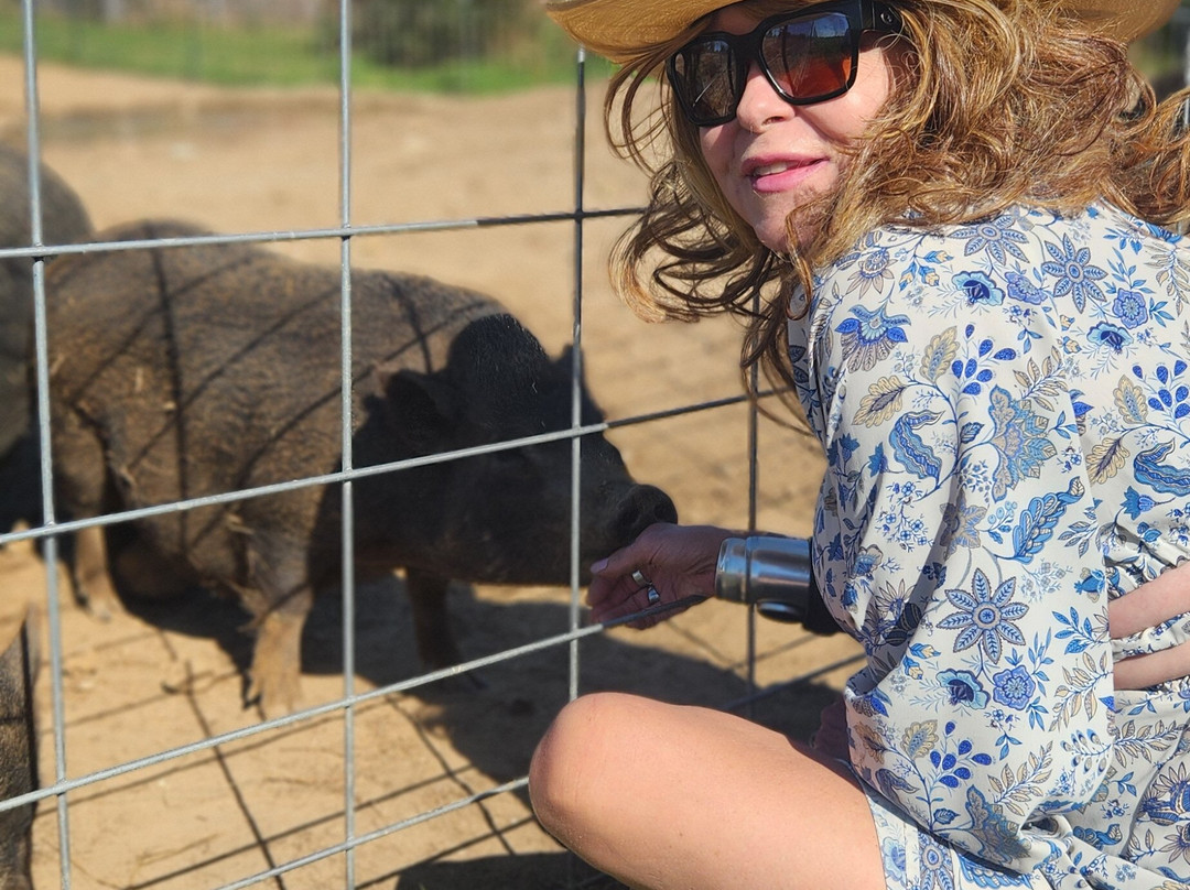 Barn Sanctuary-Chelsea必去景点