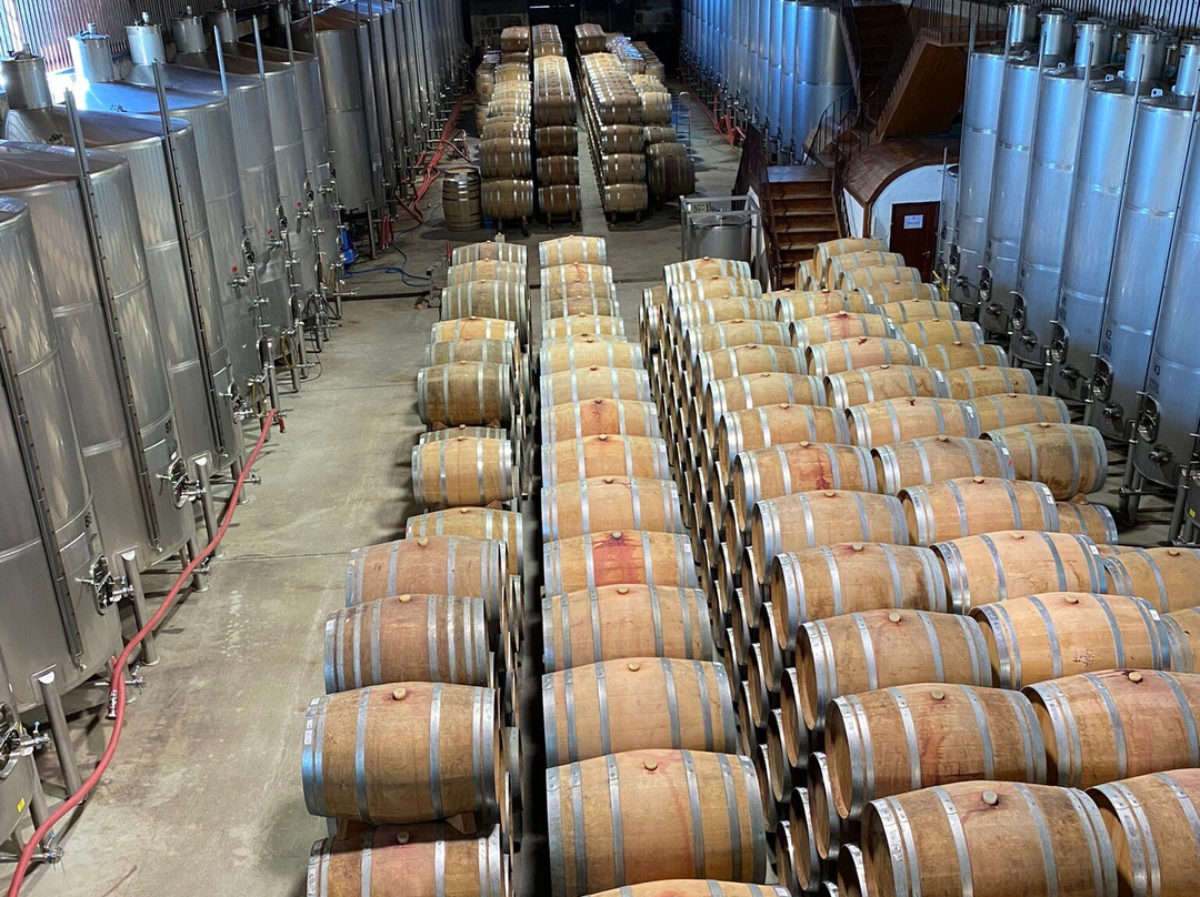 Quinta do Vale Meao景点图片