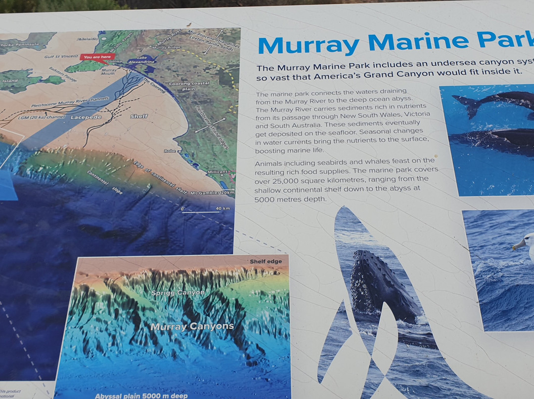 Basham Beach Conservation Park-Port Elliot必去景点