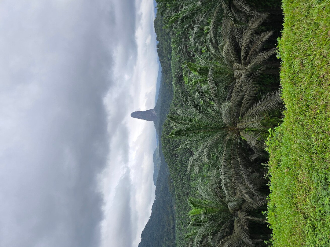 Pico Cão Grande景点图片