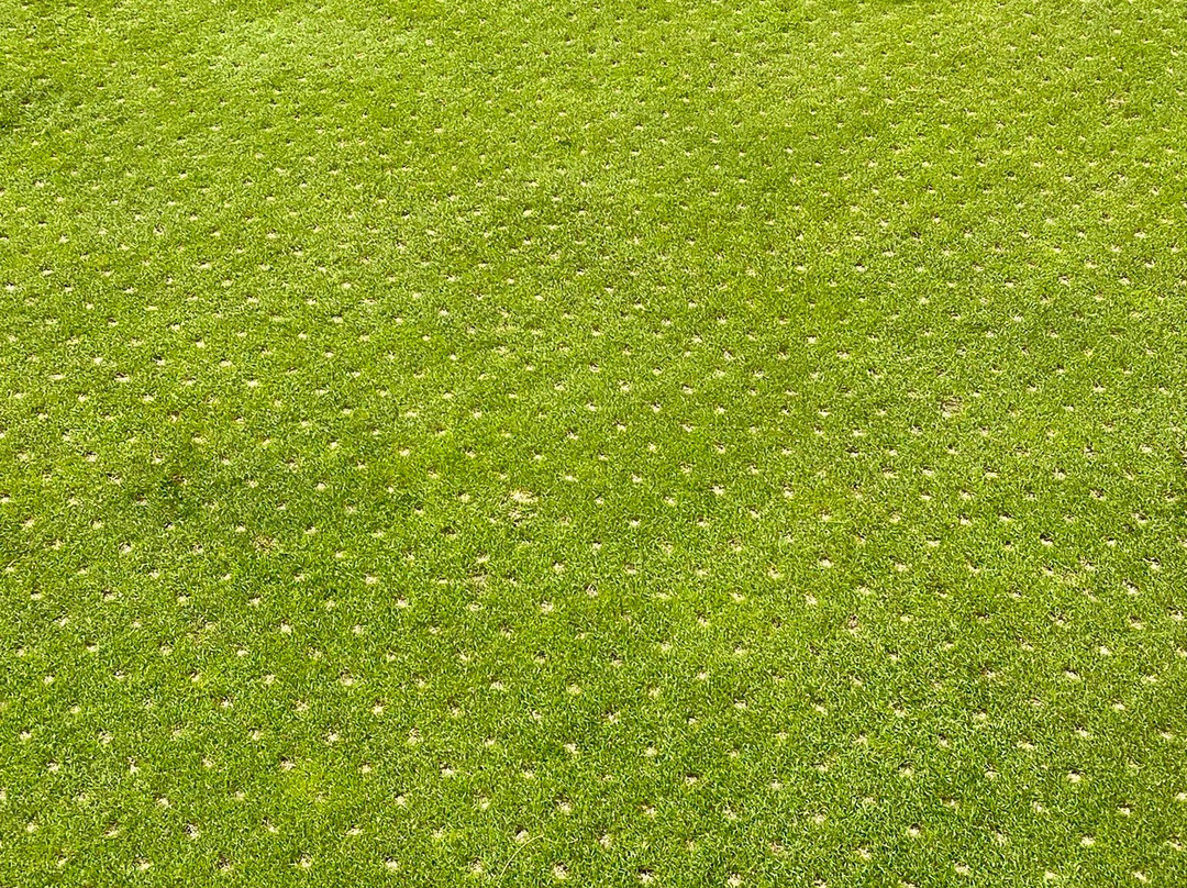 Golf Eichenheim景点图片