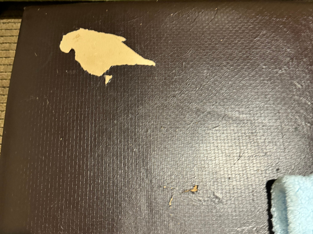 Comfort Suites Marysville-Yuba City主图