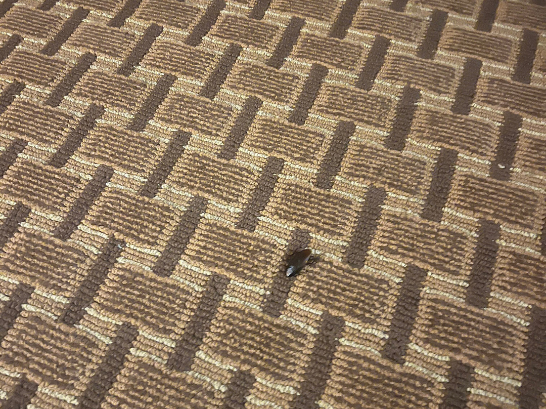 Holiday Inn Express & Suites Hazard By IHG主图