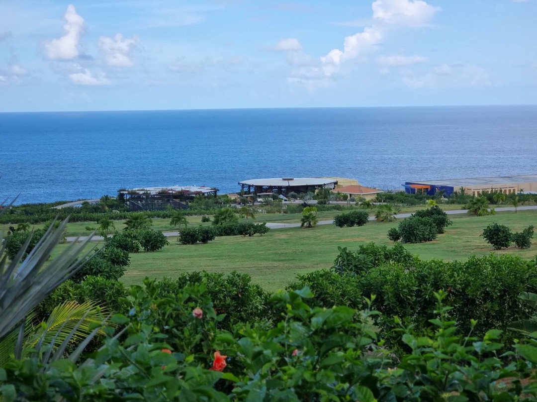 Golden Rock Dive And Nature Resort主图