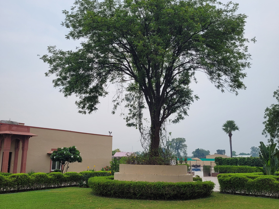 Orchha Palace and Convention Centre主图