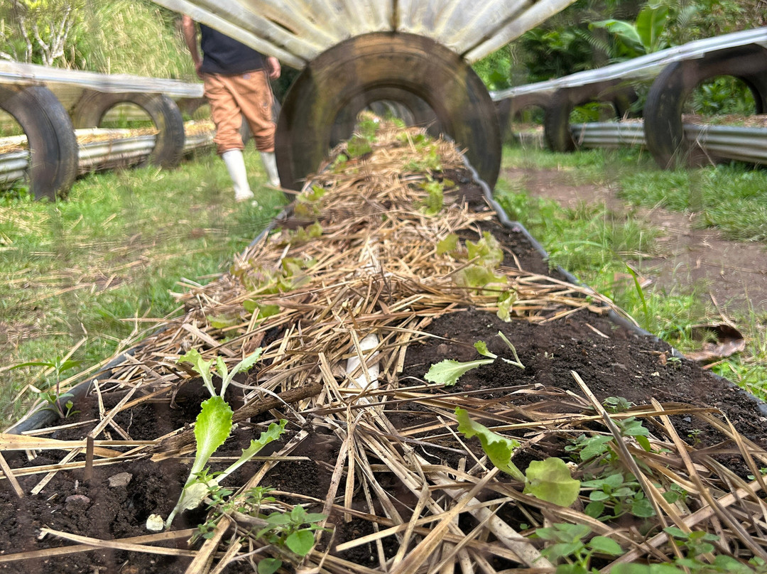 Hidden Valley Permaculture Farm景点图片