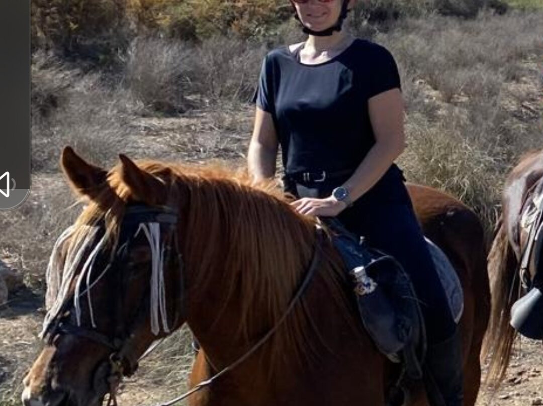 Horse Trekking in Adalusia景点图片