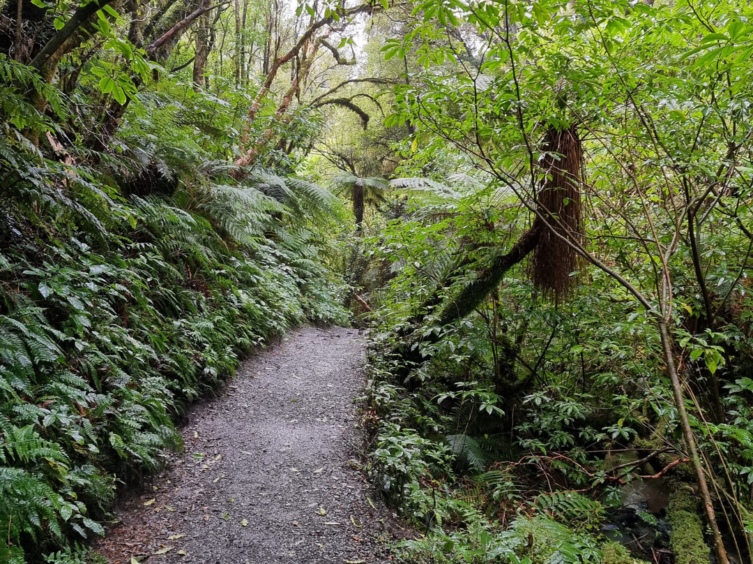 Purakaunui Falls景点图片