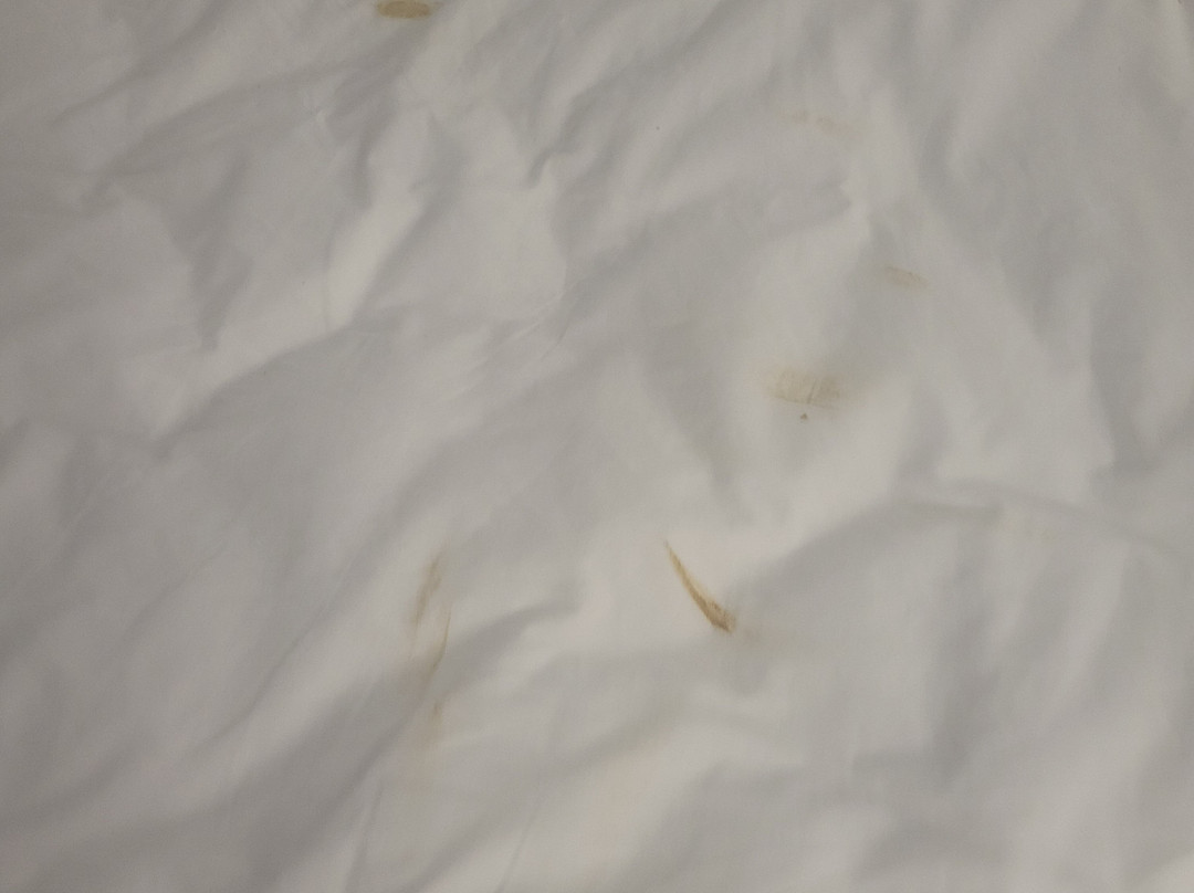 Courtyard by Marriott Cincinnati Blue Ash主图