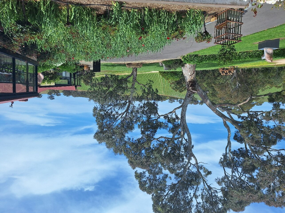 Longview Vineyard - Adelaide Hills主图