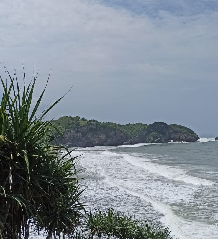 Drini Beach景点图片