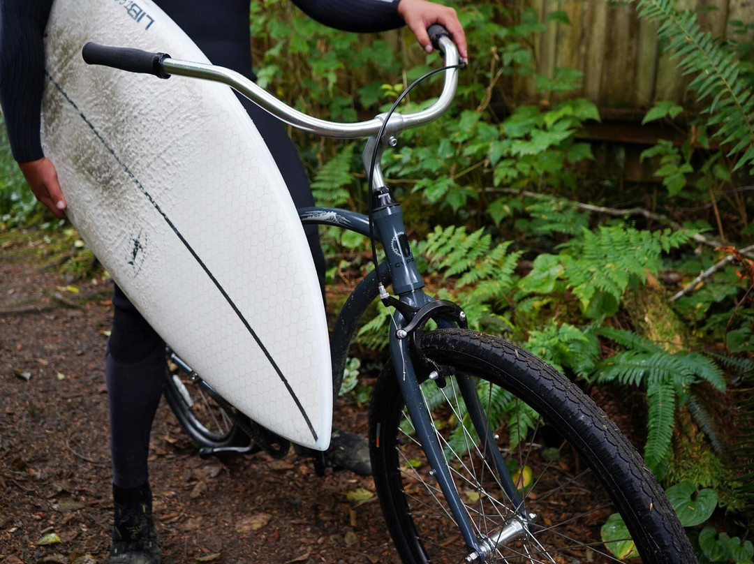 Tofino Bike Co景点图片