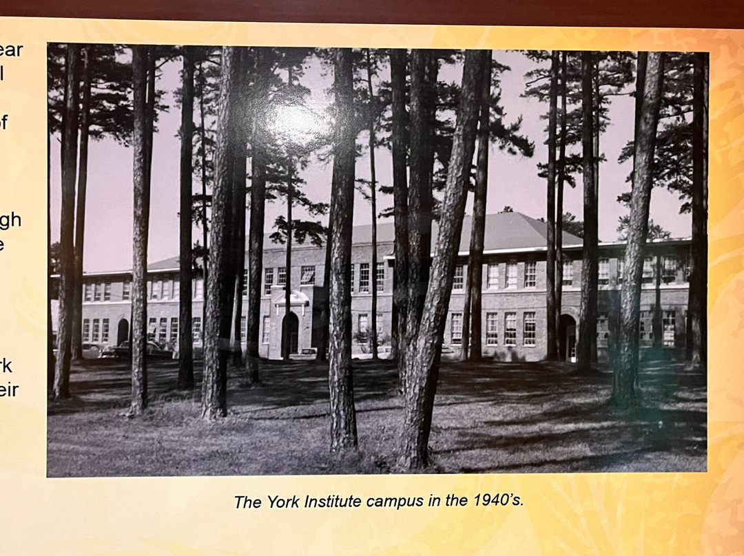 Sgt. Alvin C. York State Historic Park-Pall Mall必去景点