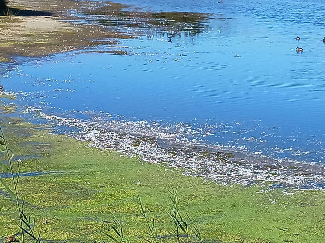Cape May Point State Park景点图片