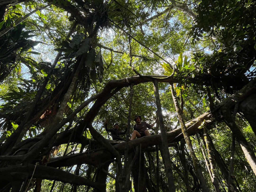 Jungle Jim Tours-伊基托斯必去景点
