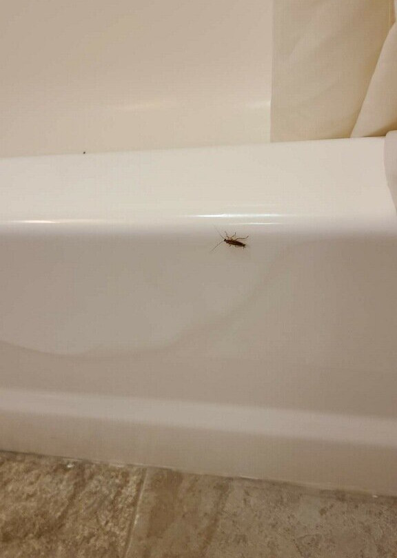 My Place Hotel-Rapid City, SD主图