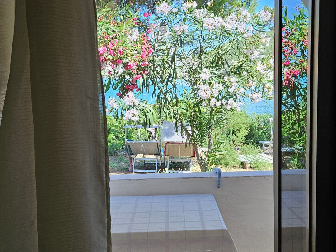 Albergo Villa Biscotti主图