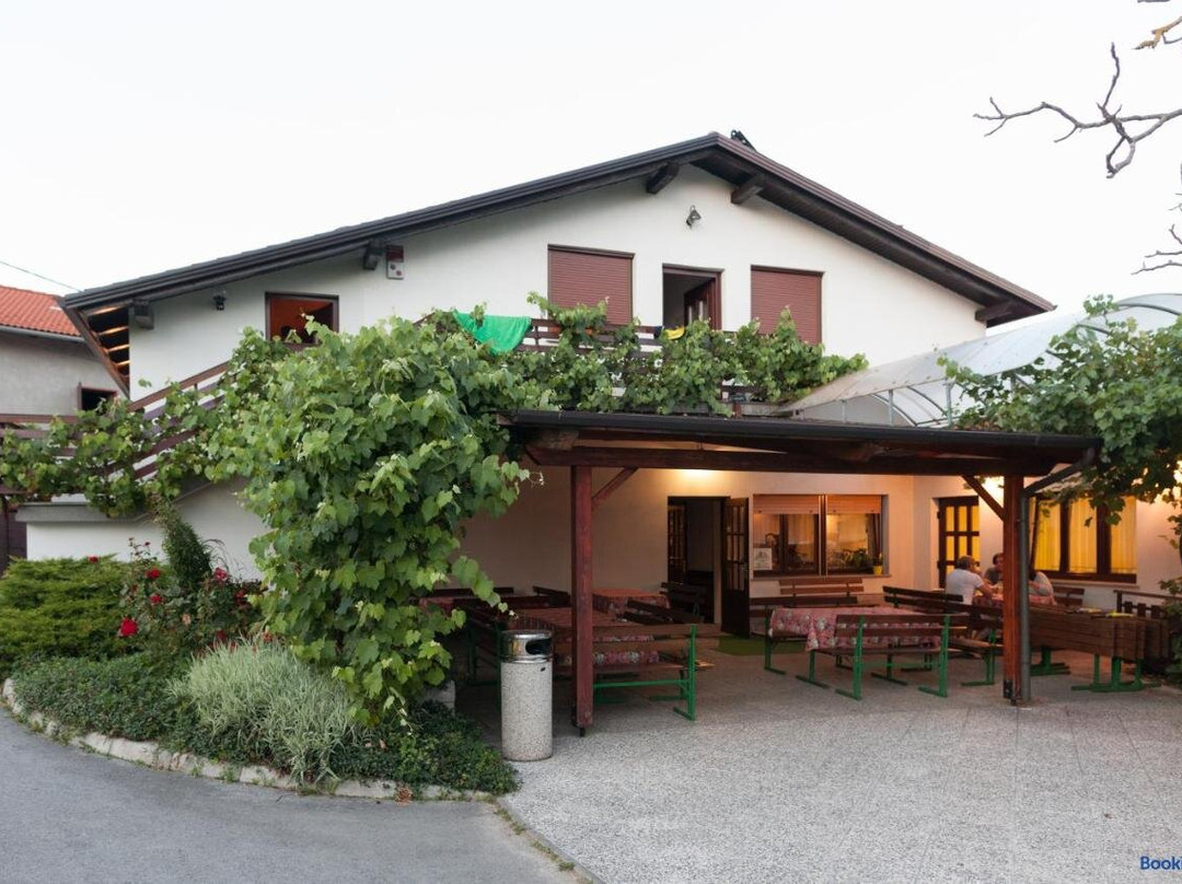Janezinovi House