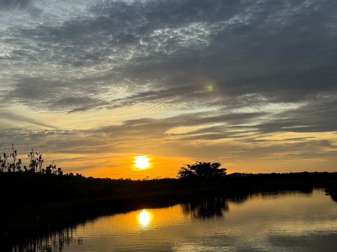 Ecolodge Flottant - Marais de Kaw-Regina必去景点
