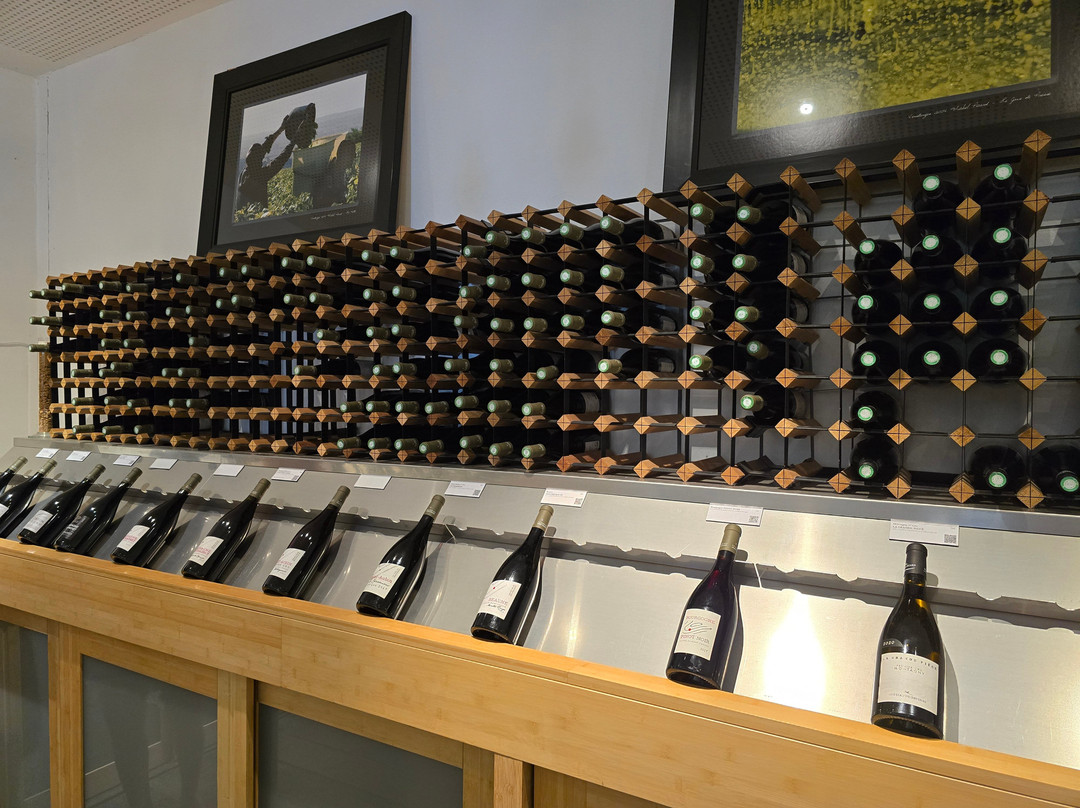 Domaine Famille Picard-Chassagne-Montrachet必去景点