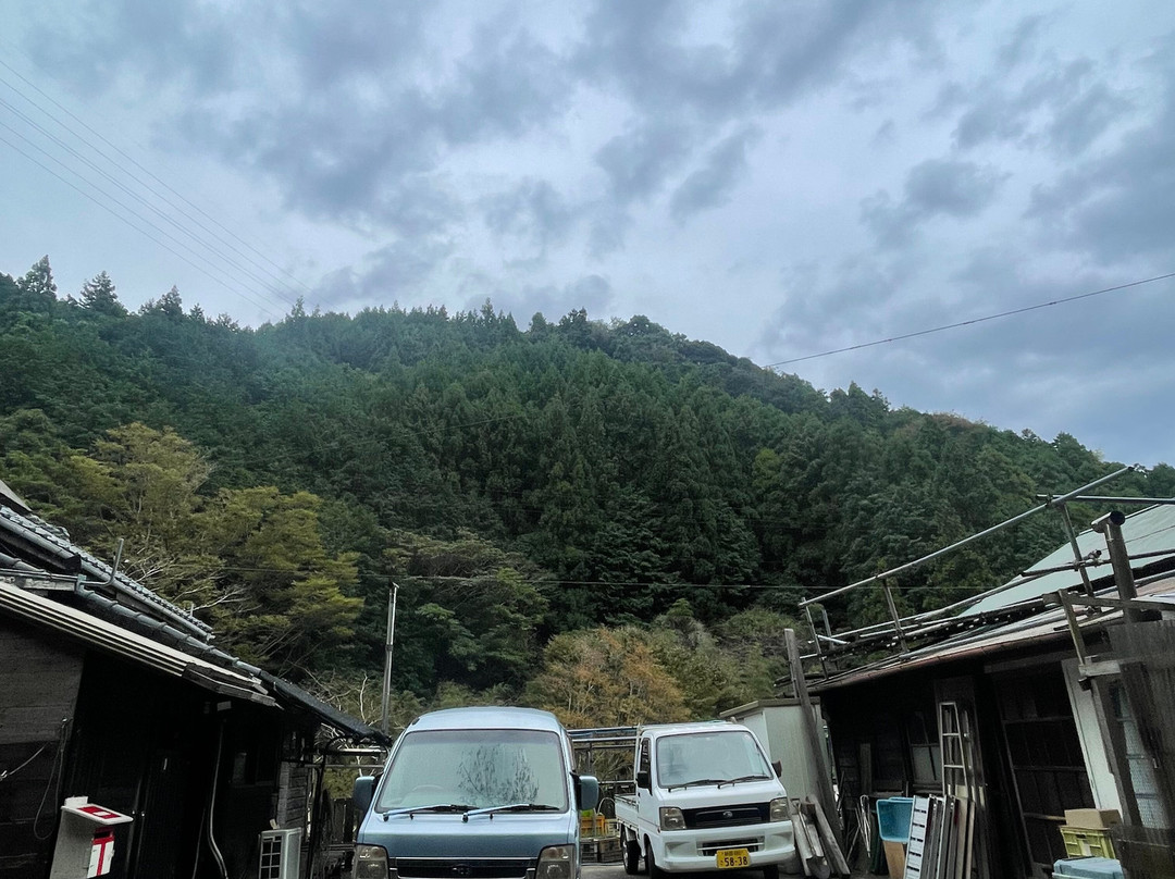 Tsutanohosomichi Park景点图片