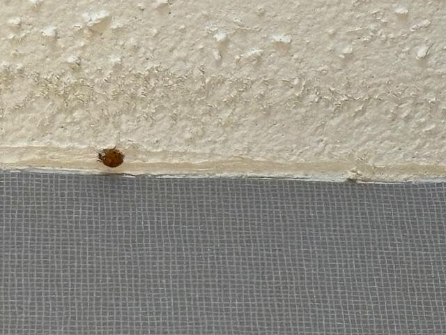 品质套房酒店主图