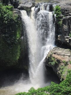 Bali and Car - Rent a car with driver-Dangin Puri必去景点