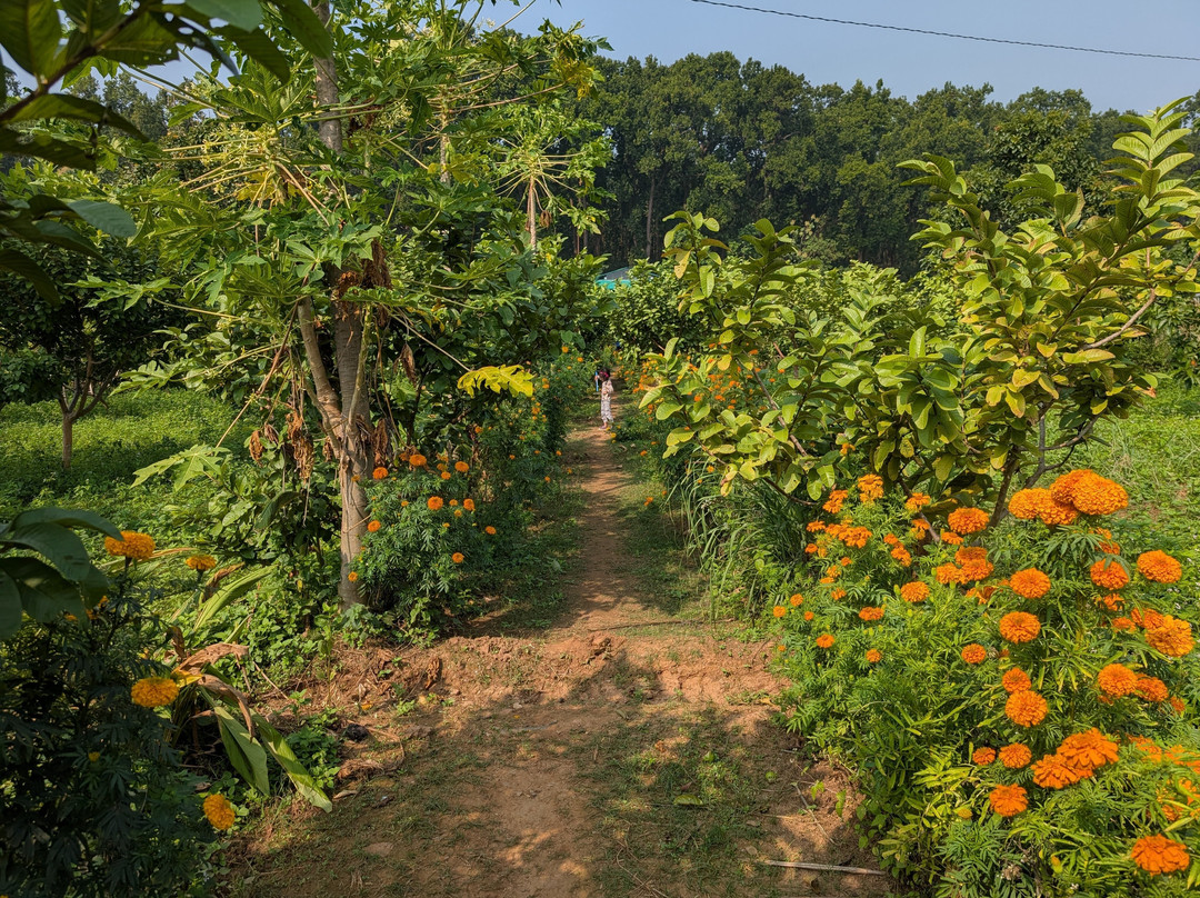 Forest Side Farm主图