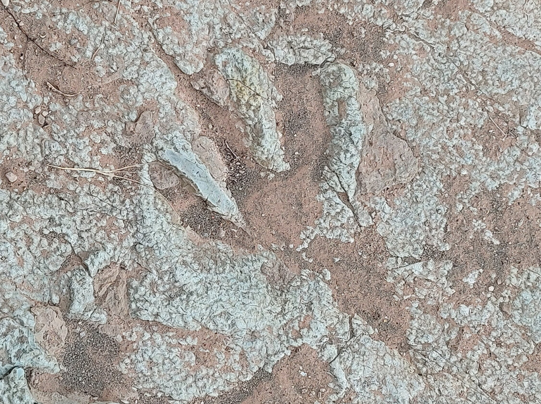 Mill Canyon Dinosaur Trail-莫阿布必去景点