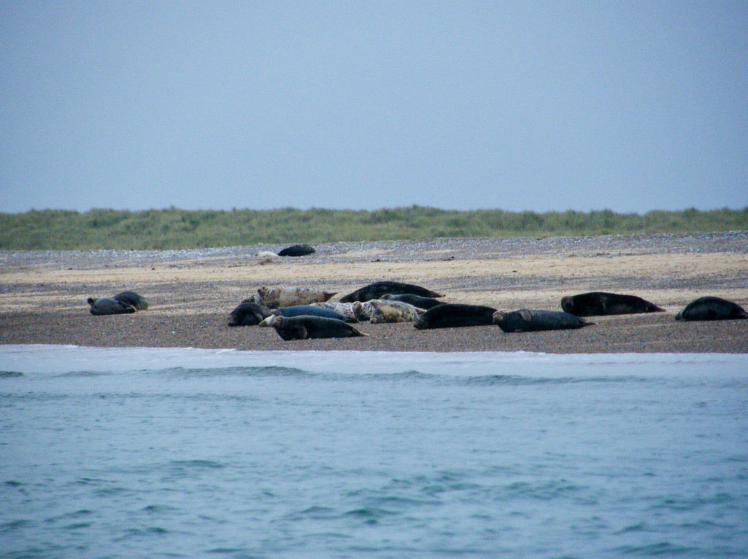 Temples Seal Trips & Blakeney Point-Morston必去景点