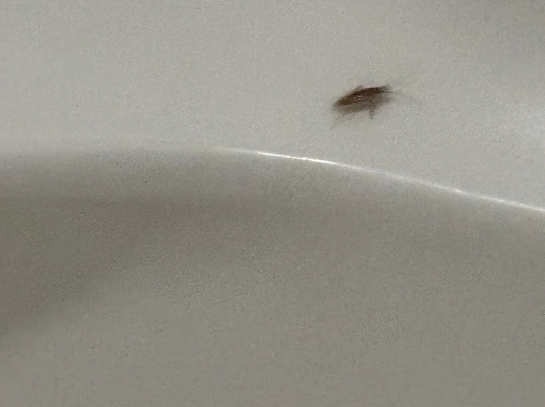 劳顿贝蒙特旅馆套房酒店主图