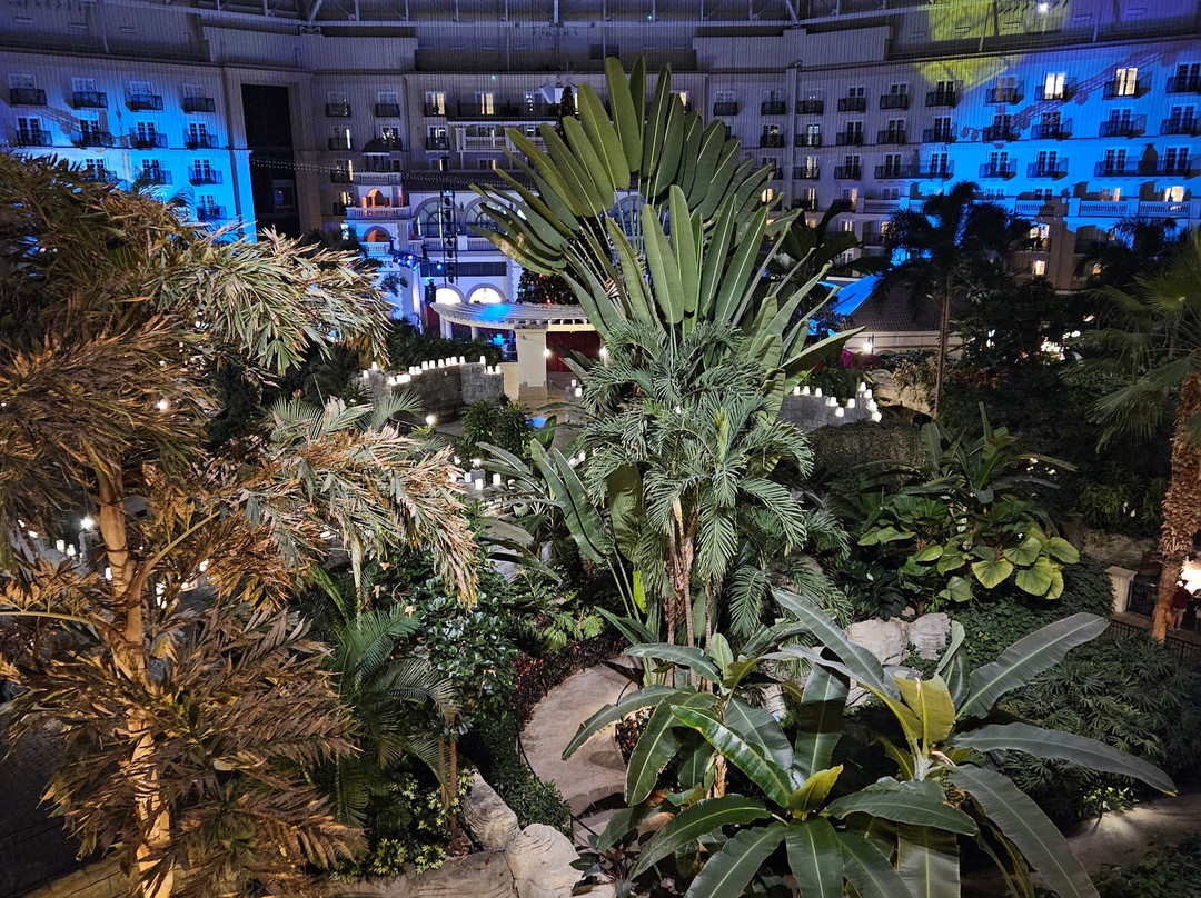 Gaylord Palms Resort & Convention Center-基西米必去景点