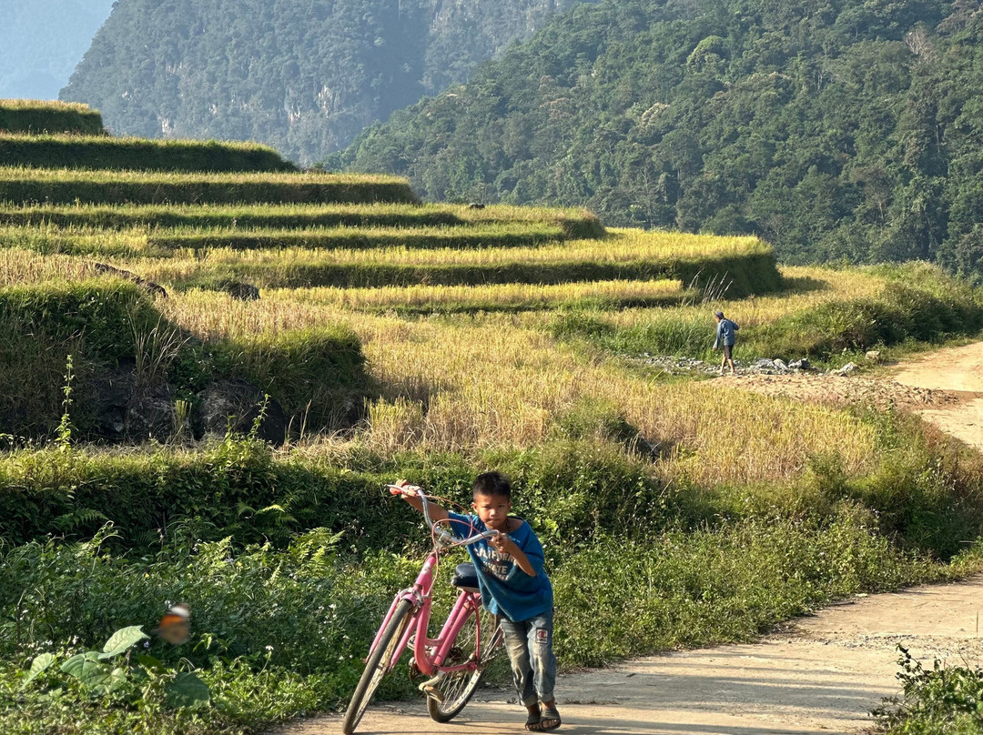 Pu Luong Eco Tours-河内必去景点