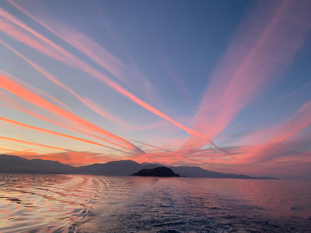 Elite World Van主图