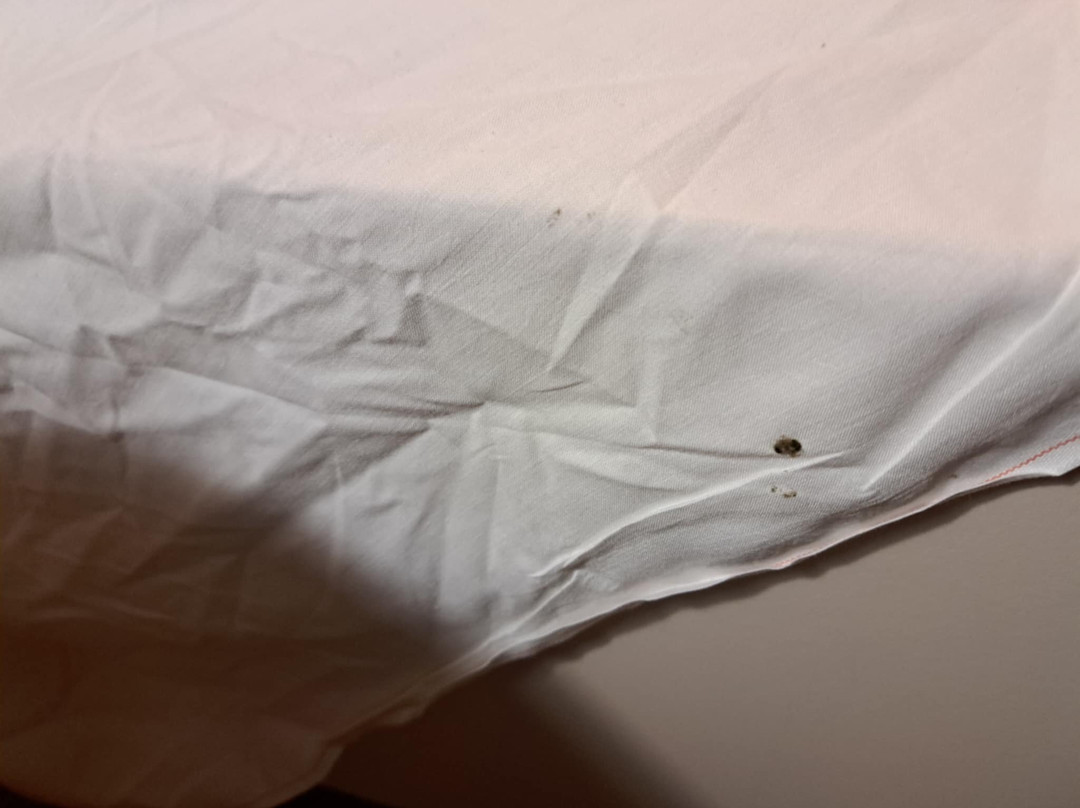 Bessines酒店住宿-B&b Hotel Niort Sud Venise Verte