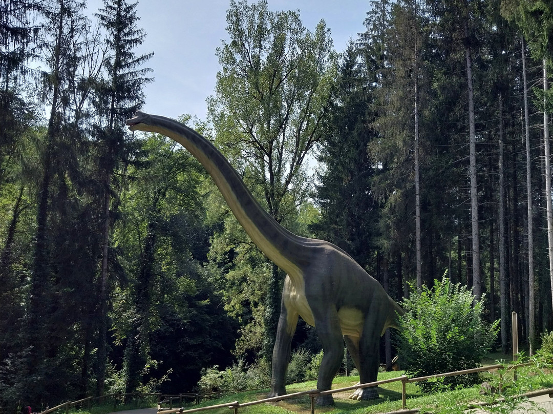 Parc Dino-Zoo-Charbonnieres-les-Sapins必去景点