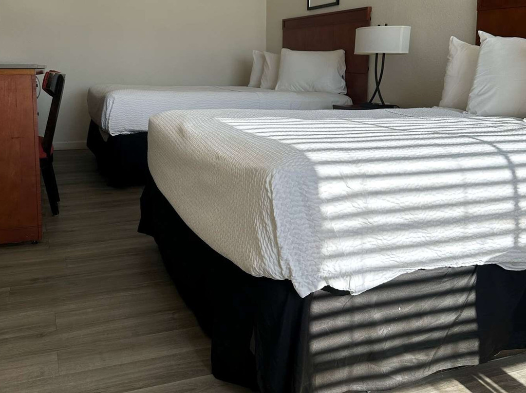 Earp酒店住宿-Travelodge by Wyndham Parker